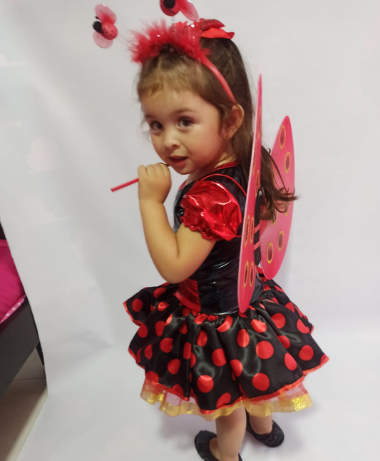 Disfraz  Niña Mariquita