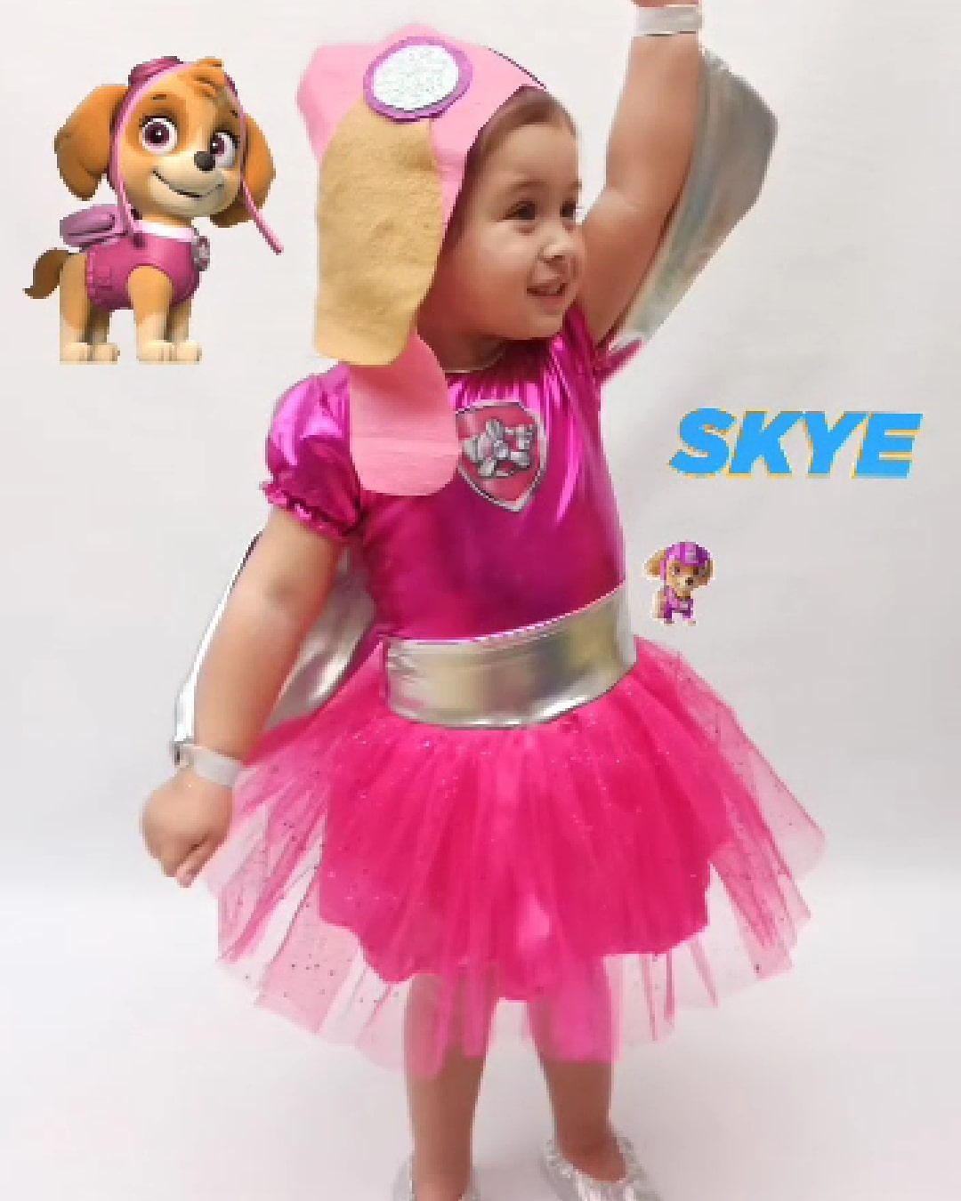 Disfraz Nina Skye Paw Patrol